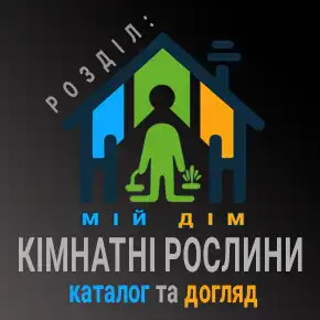 Кімнатні рослини