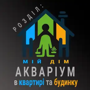 Кіллі
