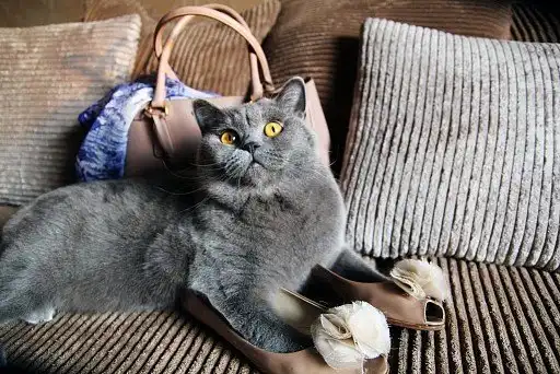 Думаю, вони мені підходять краще, ніж тобі