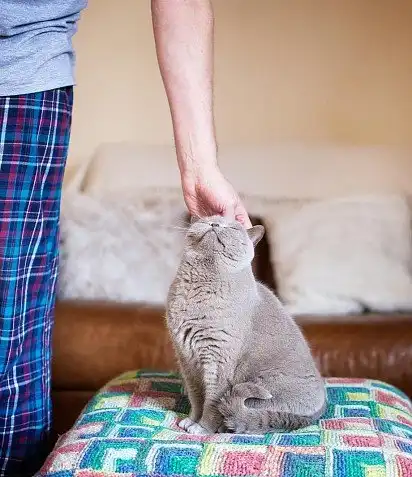 Я люблю сверблячки!