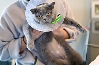 Що ви собі дозволяєте!