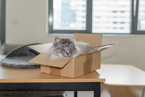 Норвеги теж люблять коробки.