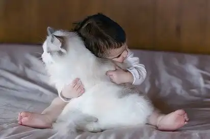 Регдол з дитиною