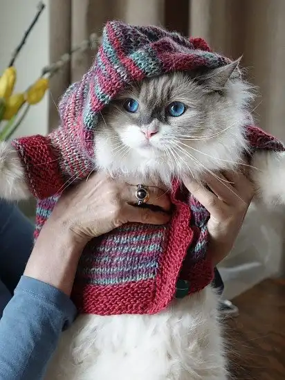 Яка краса