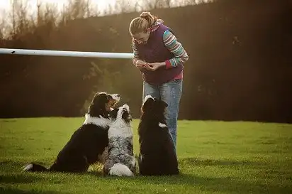 Господине, ми тебе уважно слухаємо