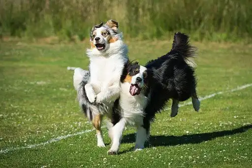 У всіх бувають невдалі кадри.