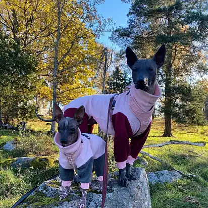 До зими готові