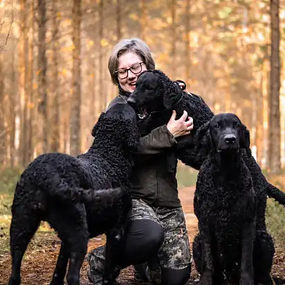 Курчавошерсті ретрівери з коханою господинею