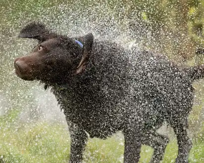 Після легкого душу