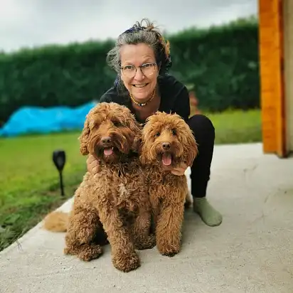 Лабрадудлі з коханою господаркою