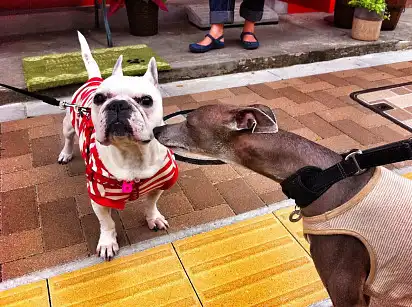 Хто тут у нас