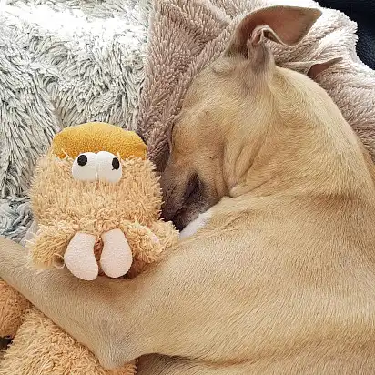 З коханою іграшкою