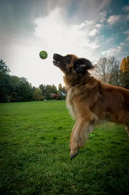 Гра в м'ячик