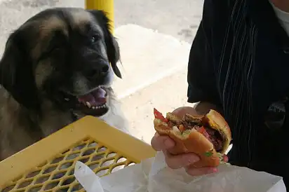 Я ні на що не натякаю, але...