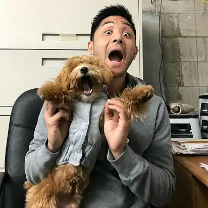 Мальтипу дуріє зі своїм господарем