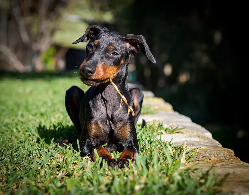 Просто чиловий хлопець