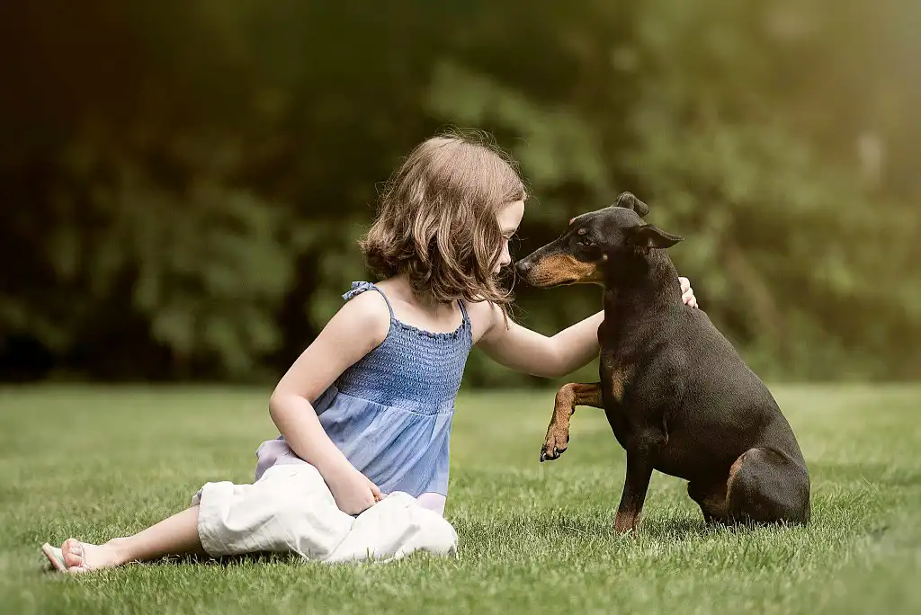 Манчестер-тер'єр з дитиною