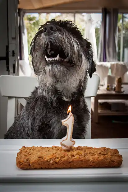 У когось сьогодні День народження