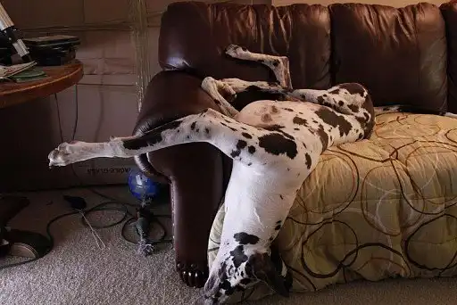 Мені навіть так зручно