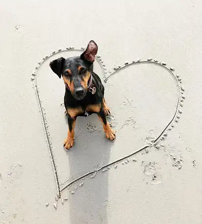 Той, хто вкрав моє серце