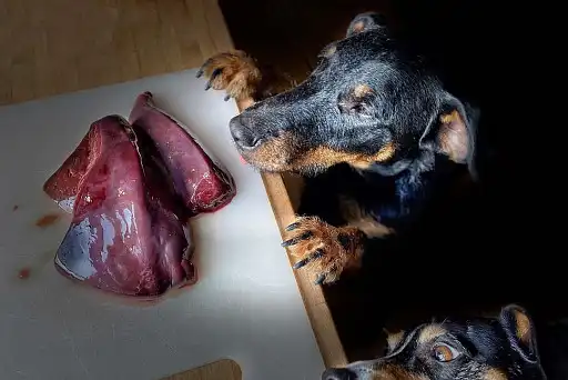 Що тут у нас?