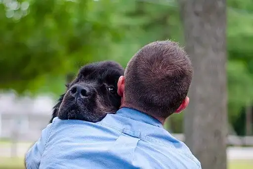 З коханим господарем