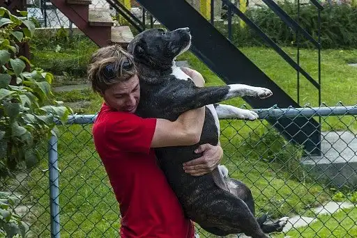 Чоловік, куди ти мене несеш?
