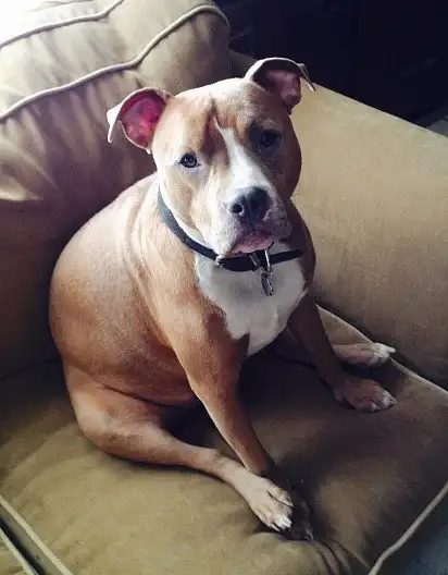 Я тут сиджу трохи