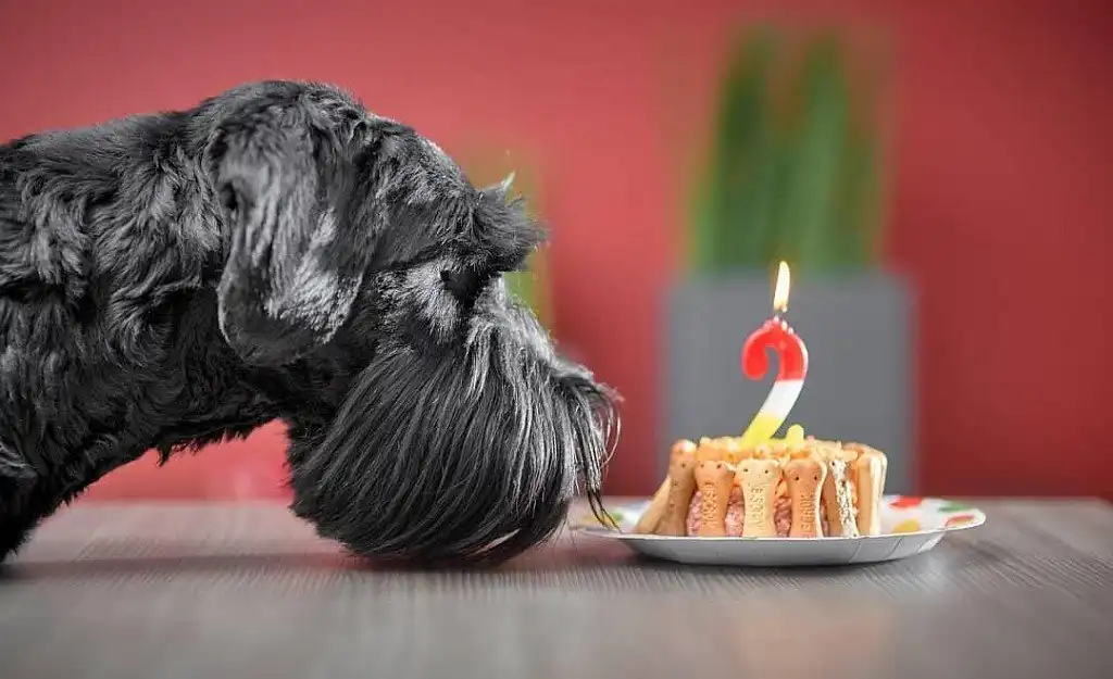 Святковий частування