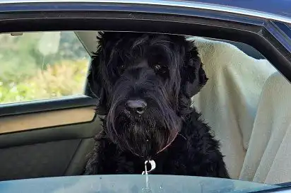 Що дивишся? Поїхали