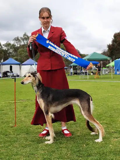 На виставці