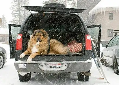 Що дивишся? Проходь мимо