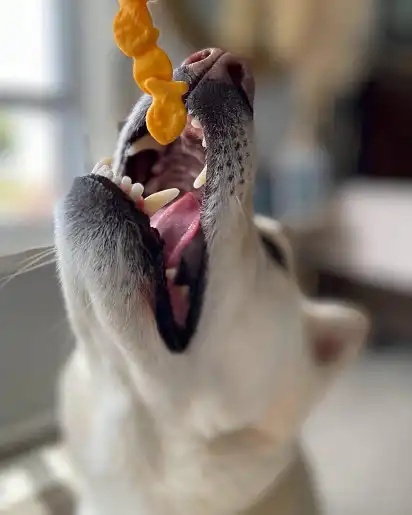 Момент щастя