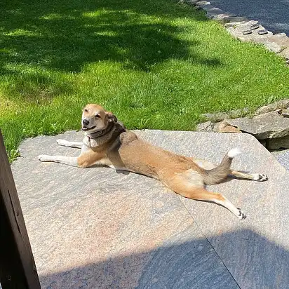 Особистий тренер із засмаги