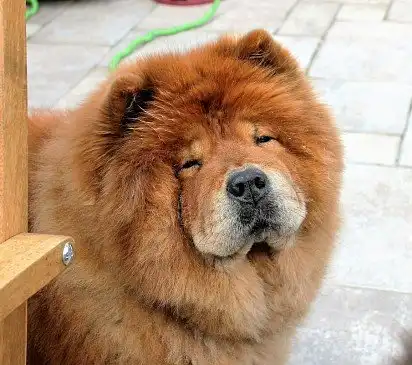 Мілаха