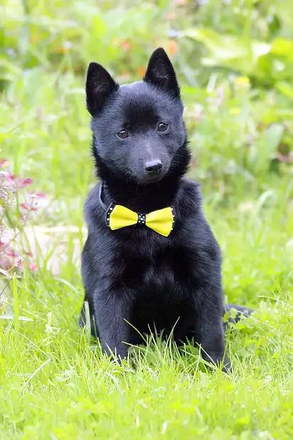 Гарний хлопчик