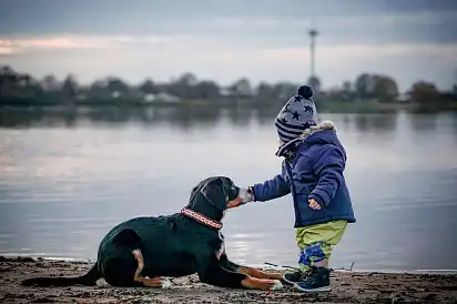 Ентлебухер зенненхунд з дитиною