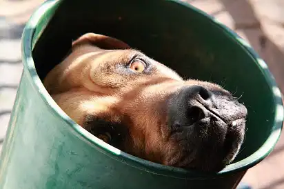 Застряг...