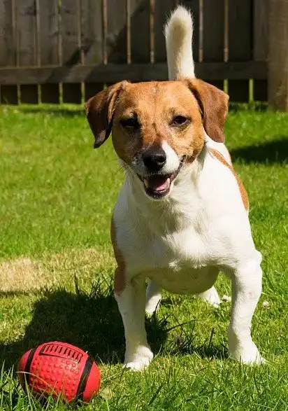 Пограємось?