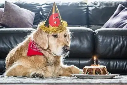 У когось сьогодні День Народження