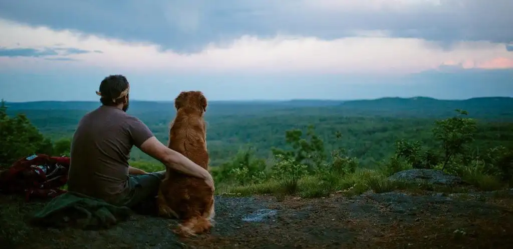Самота з господарем