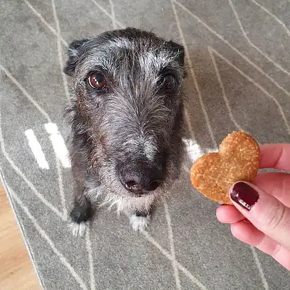 Хто тут хоче печінку?