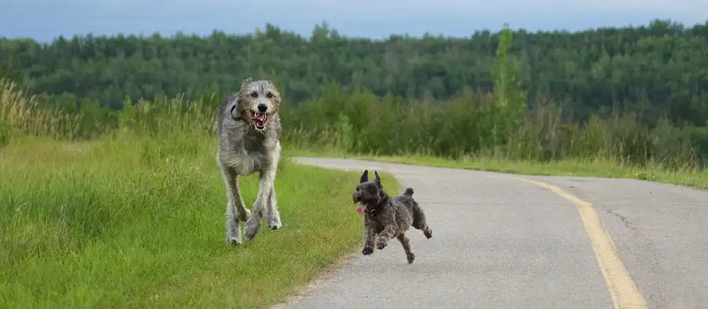 Зростання дружбі не перешкода