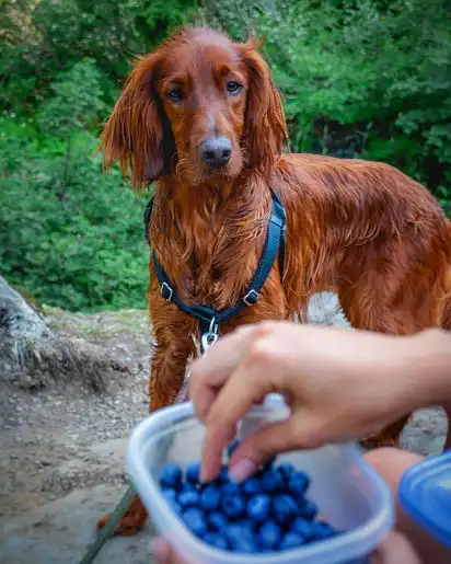 Що там у нас?