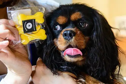 Напевно, це мені