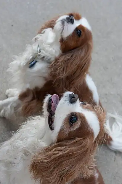 Ми чекаємо на смачну!