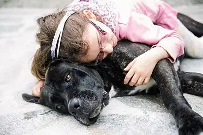 Кане-корсе з дитиною