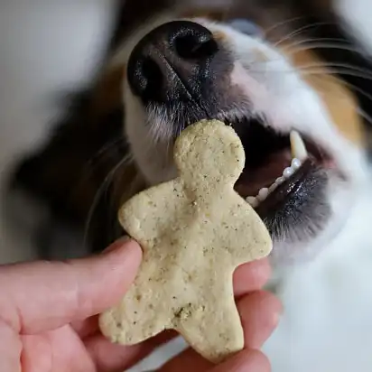 Улюблене печиво