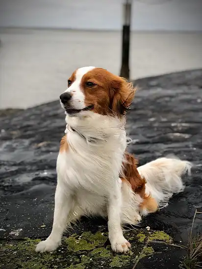 Сьогодні дуже вітряно