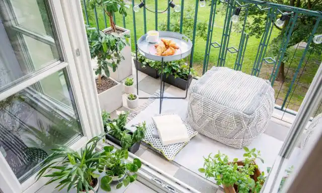 Балконы и лоджии восточной, западной и юго-восточной ориентации - самые комфортные. Туда можно перемещать все светолюбивые растения.